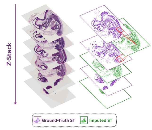 Bioinfo Soul 生信之灵 tweet media