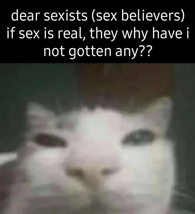 RealestMemes tweet media