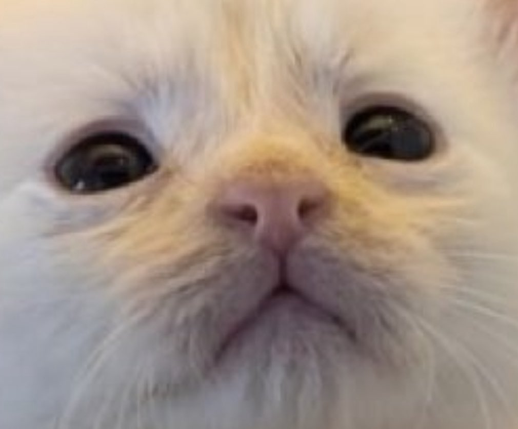 The face of a monster