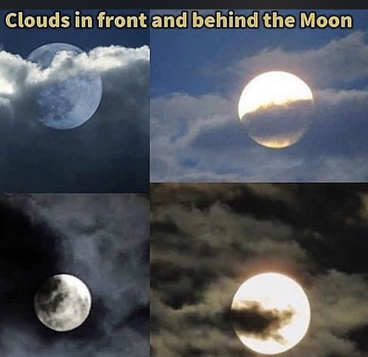 Concerned Citizen tweet media