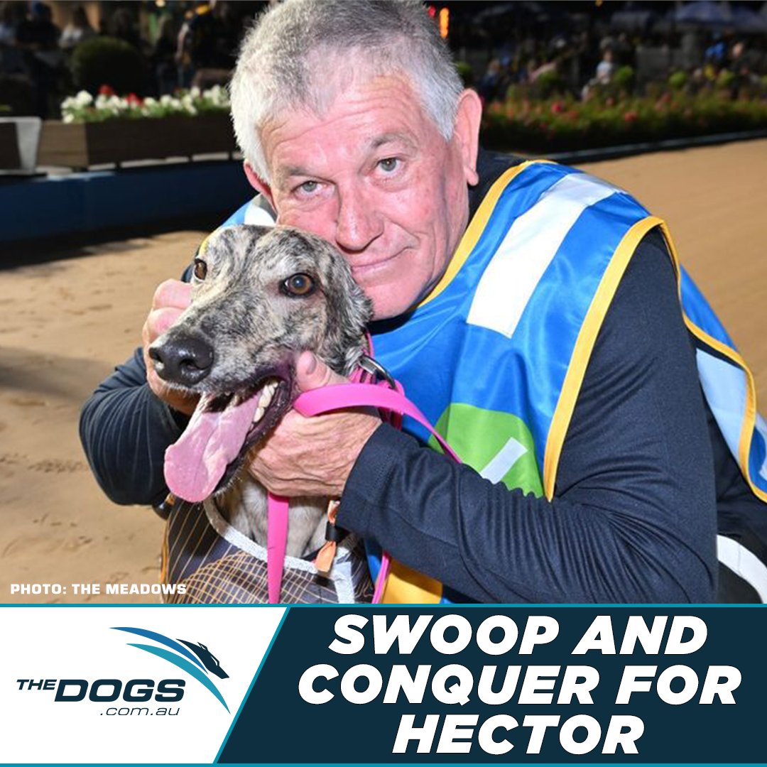 The Dogs tweet media