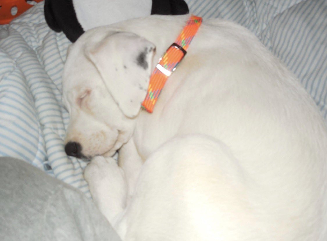 Margaret tweet media