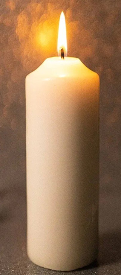 Deb Hazeldine MBE 🌿🌸🌻🌼🏡🌳🪴 tweet media