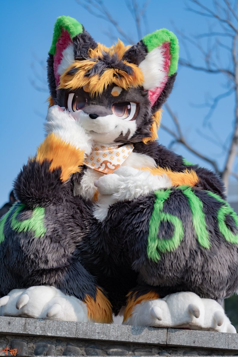 id丶Hunter tweet media