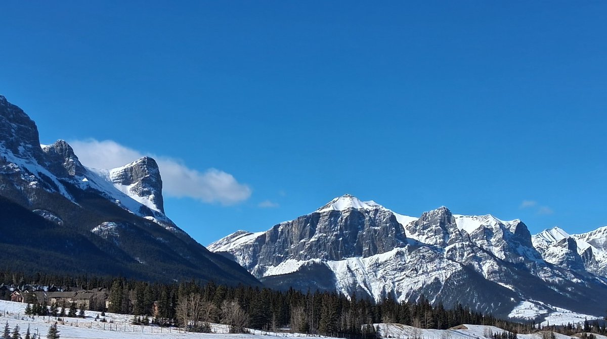 Cory Morgan tweet media