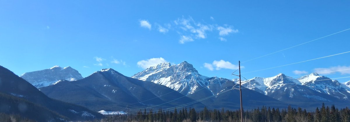 Cory Morgan tweet media