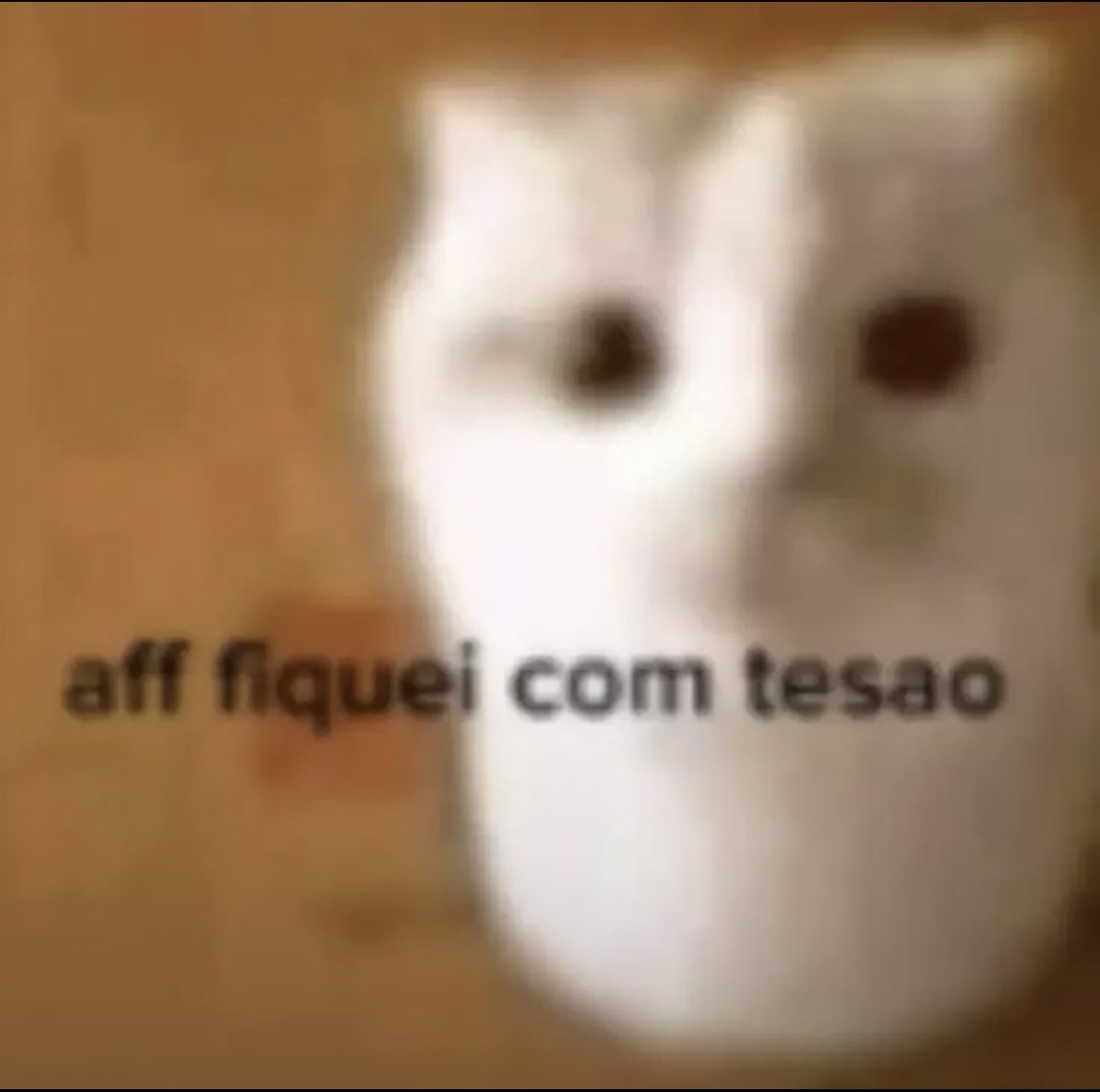 como explicar o tesão dominical