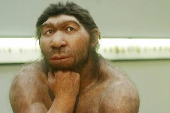 1907 Medya tweet media