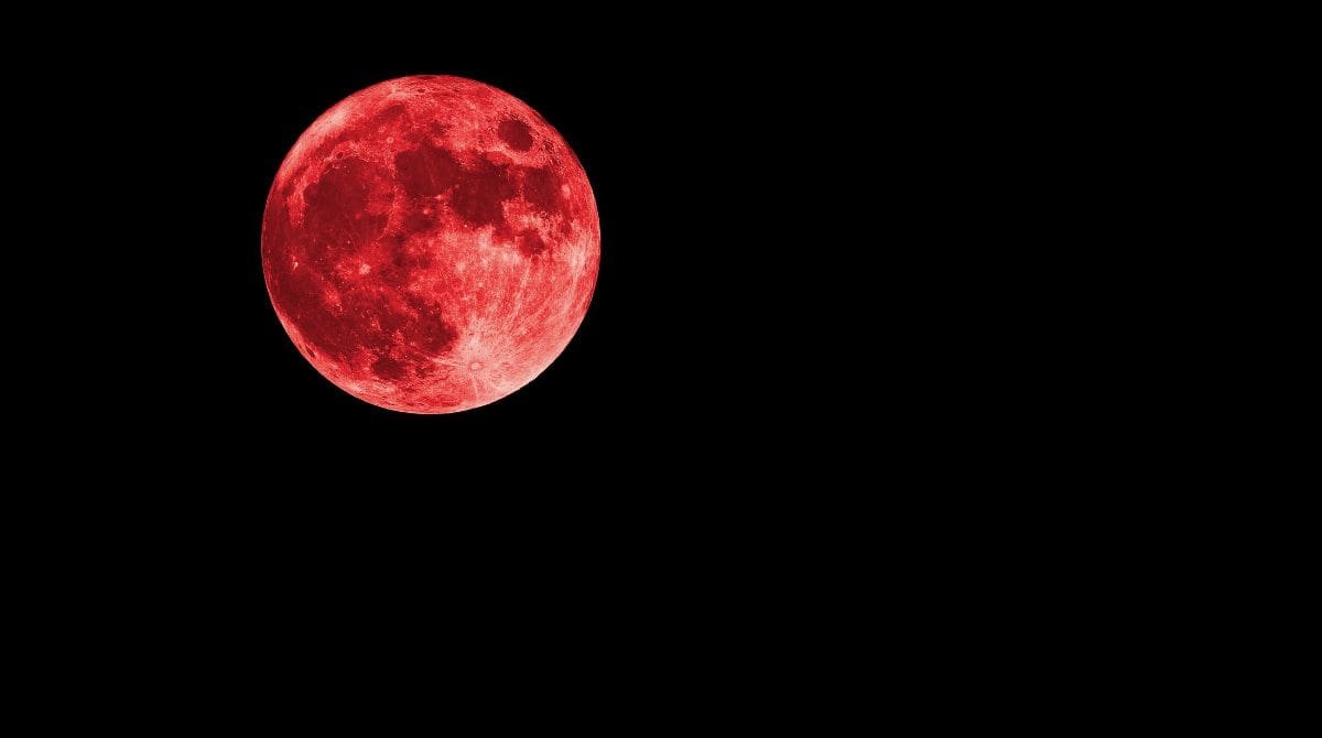 kook 🏝️ tweet media