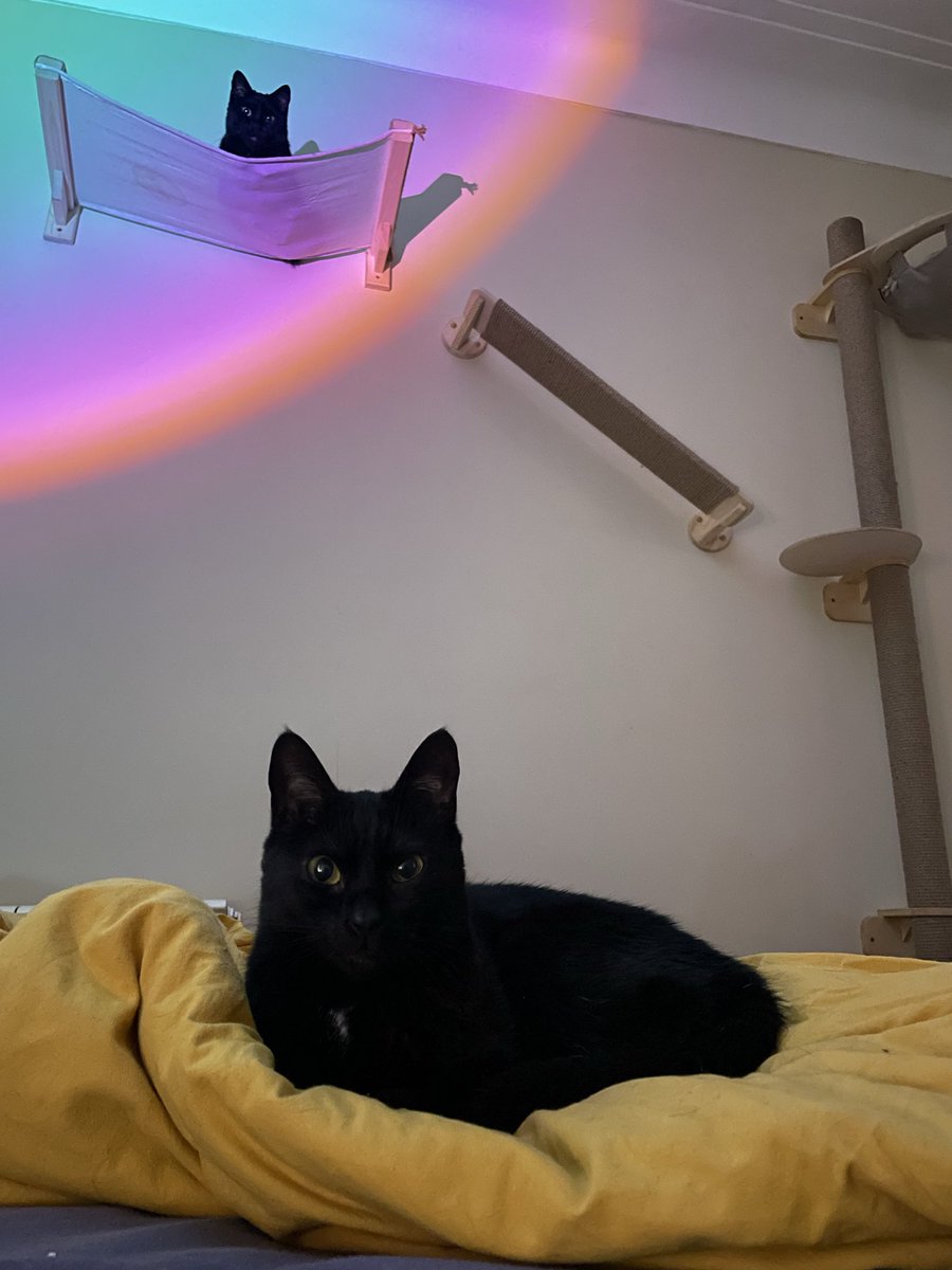 Апрелева tweet media