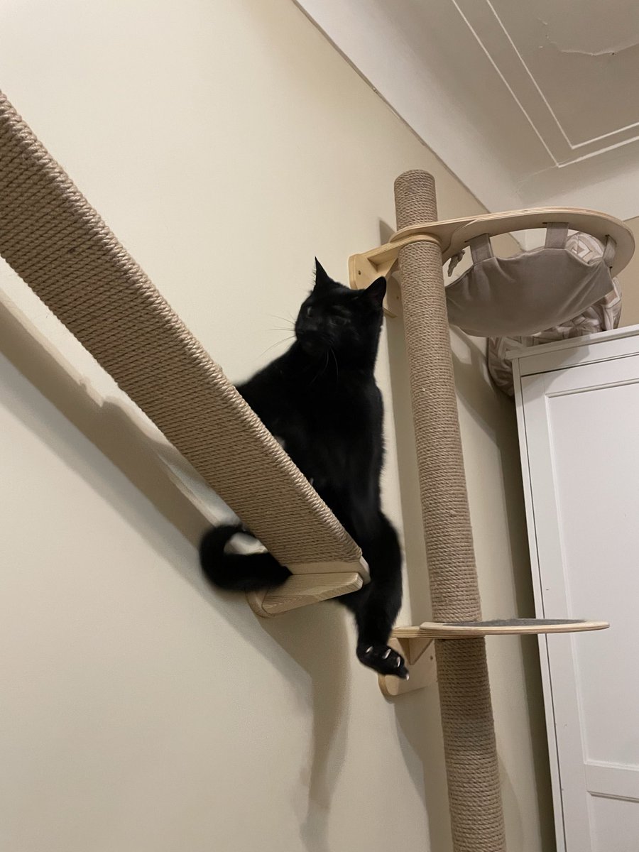 Апрелева tweet media