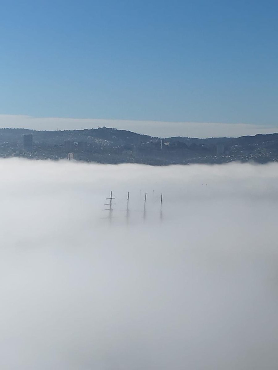 Gonzalo Codina 🇨🇱 tweet media