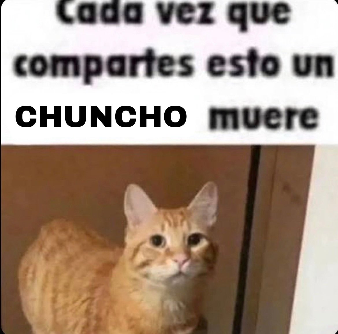 Na Cho Ne Ta! (@nachoneta___) on Twitter photo 