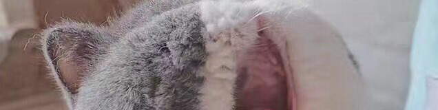 𝟟𝕚𝕪ℝ𝕖𝕒𝕝 tweet media