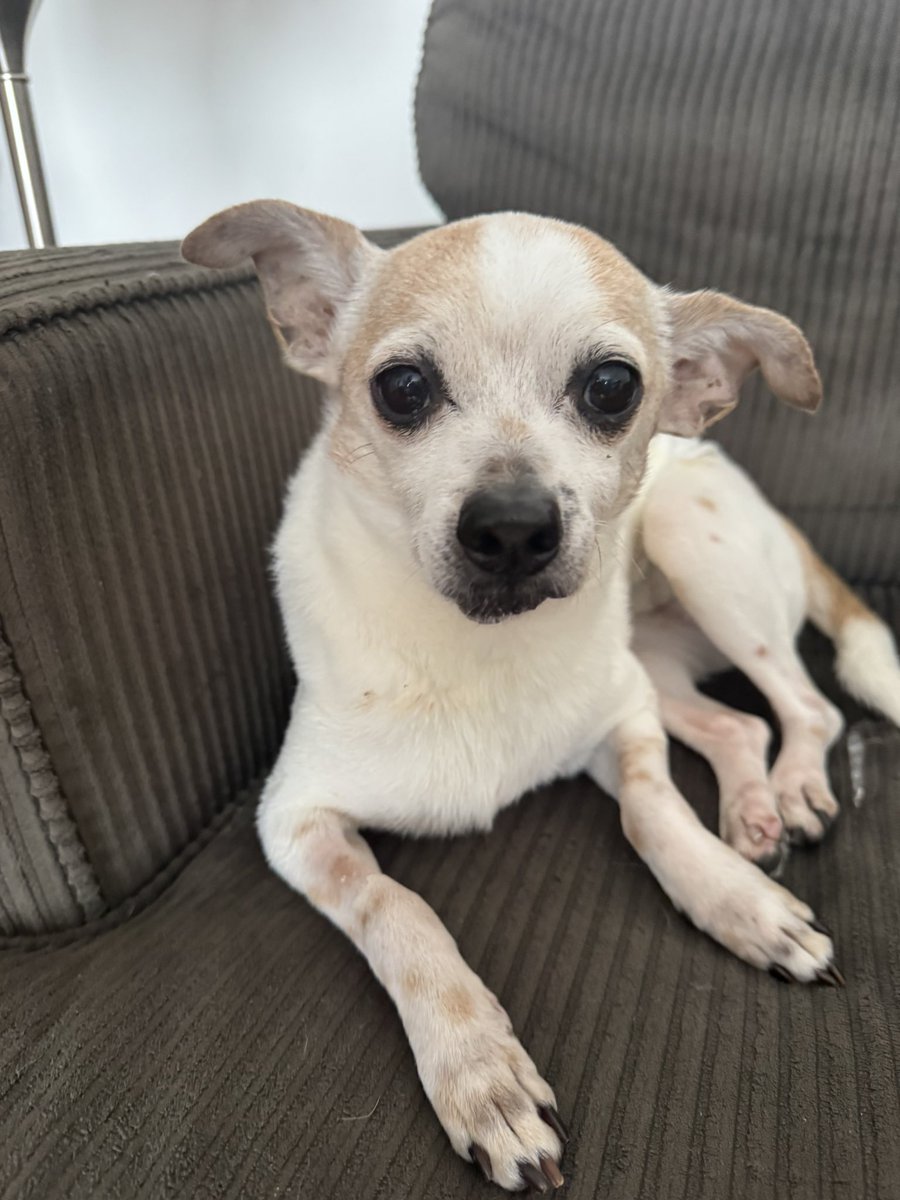 StabbyTimeTV tweet media