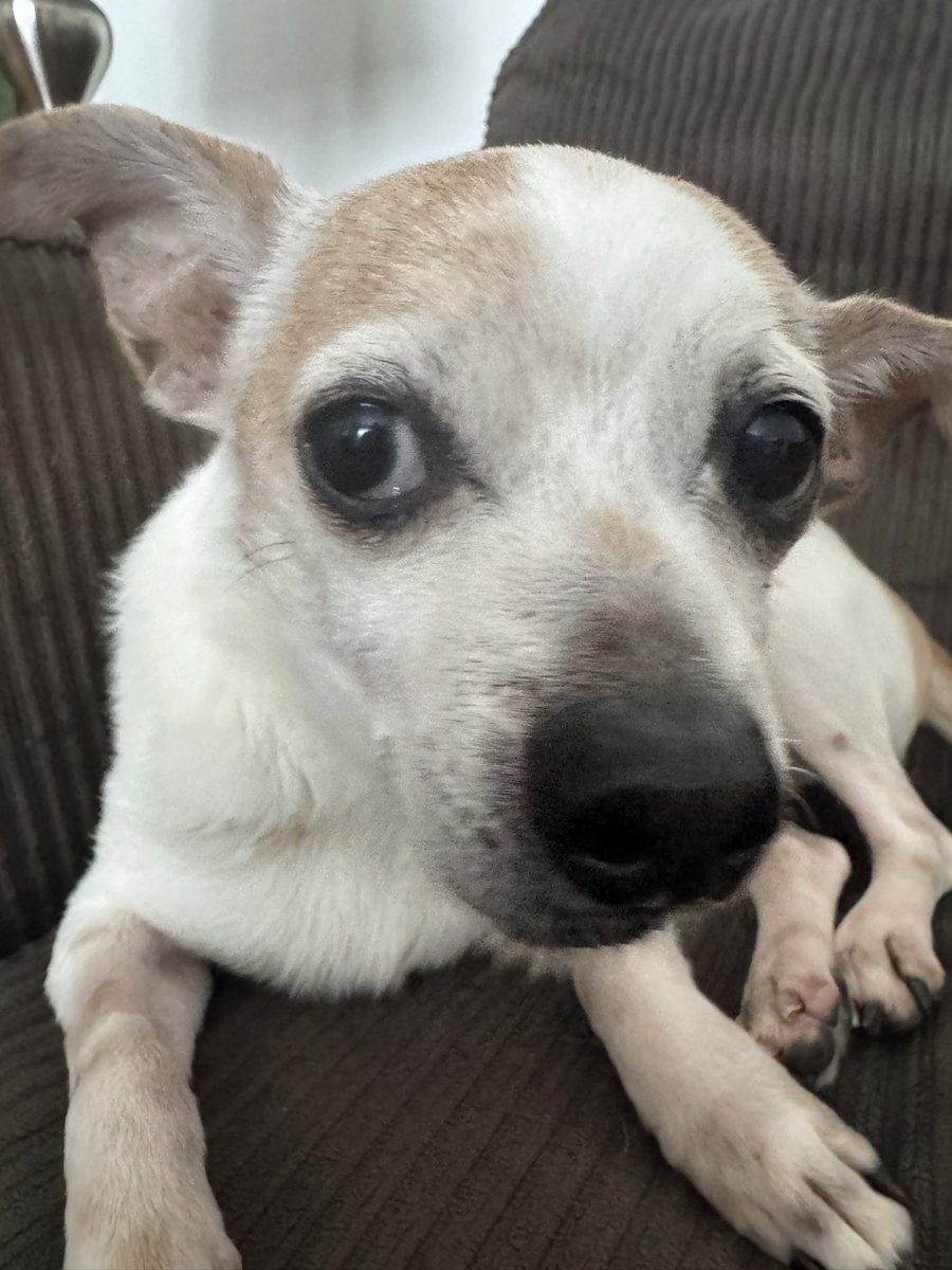 StabbyTimeTV tweet media