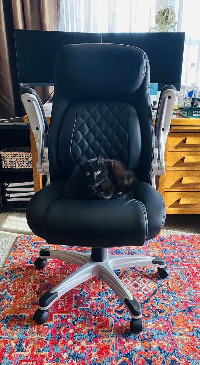 RoofCoffeeShop's tweet image. We want to share your fur babies on #MetalCoffeeShop! 

Thanks to Alicia Cahill from Everlast Roofing, Inc. of Everly, Iowa for sharing their furry office manager. 

#TheCoffeeShops #RoofersCoffeeShop #RoofingProfessionals #RoofingContractors #RoofersForum #RoofingRespect