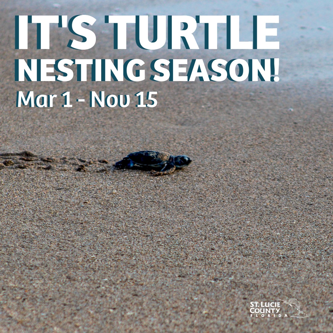 St. Lucie County tweet media