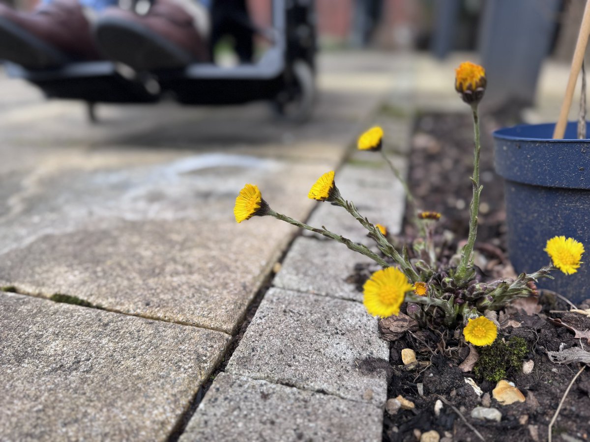 Judith Barnard tweet media