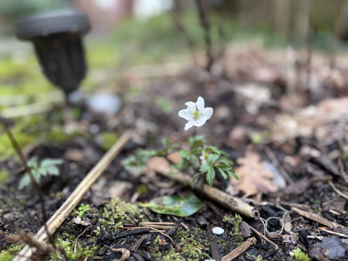 Judith Barnard tweet media