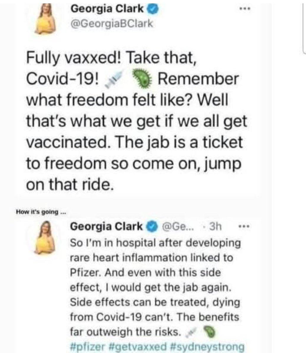 Michelle LA🇨🇦 tweet media