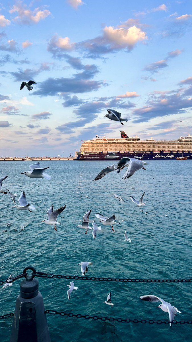 diliice's tweet photo. @iih4u من ذكريات الراحل ايفون 14 🙏🏼 https://t.co/ty6iztRkL3