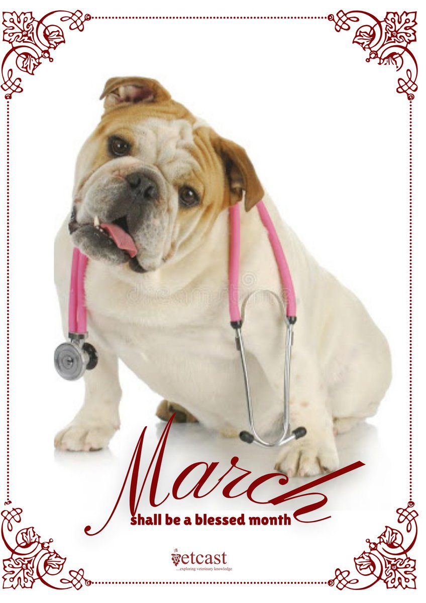 vetcast's tweet photo. Happy New Month https://t.co/Z5Tcl0dgf7