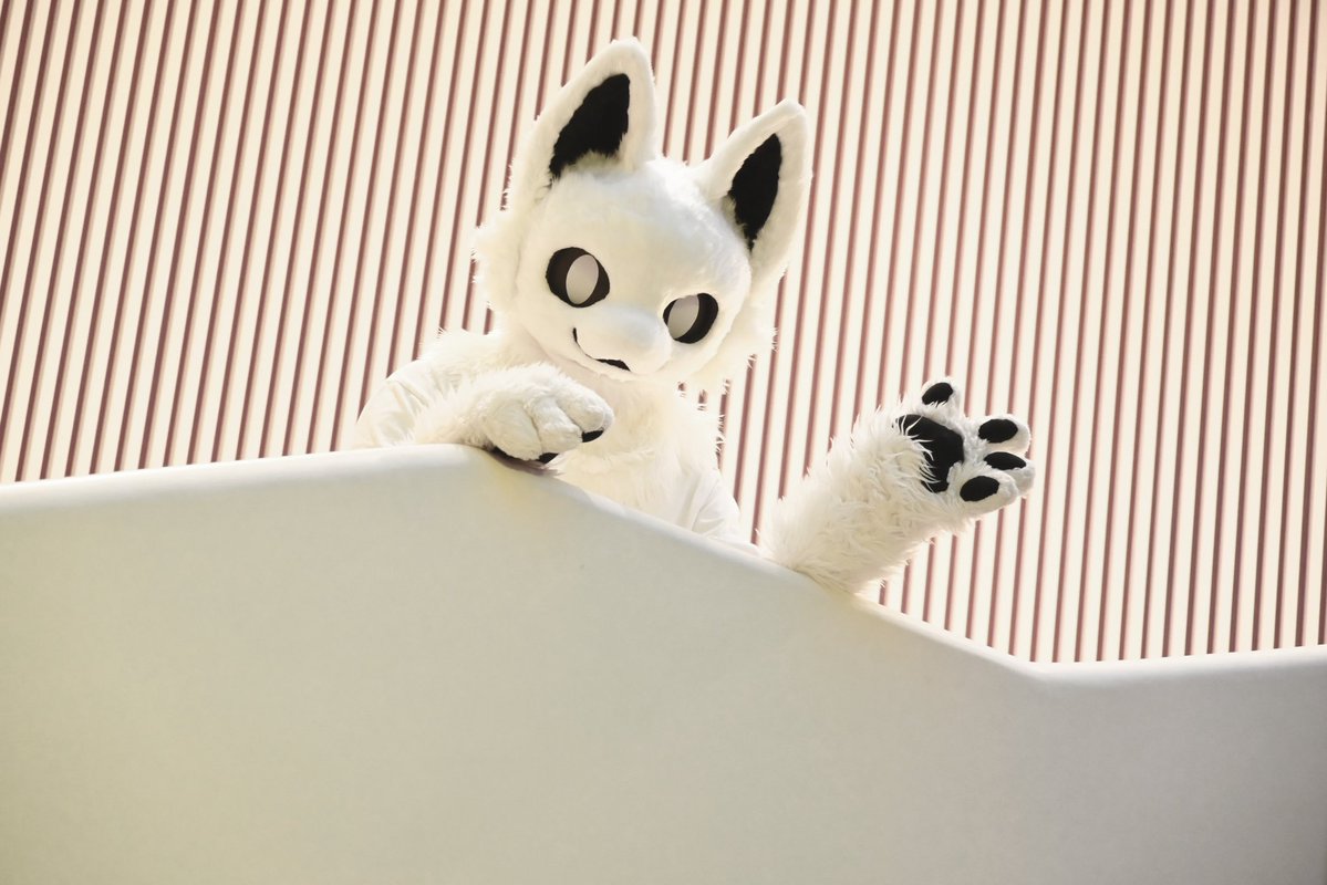 半岛柿子喵 tweet media