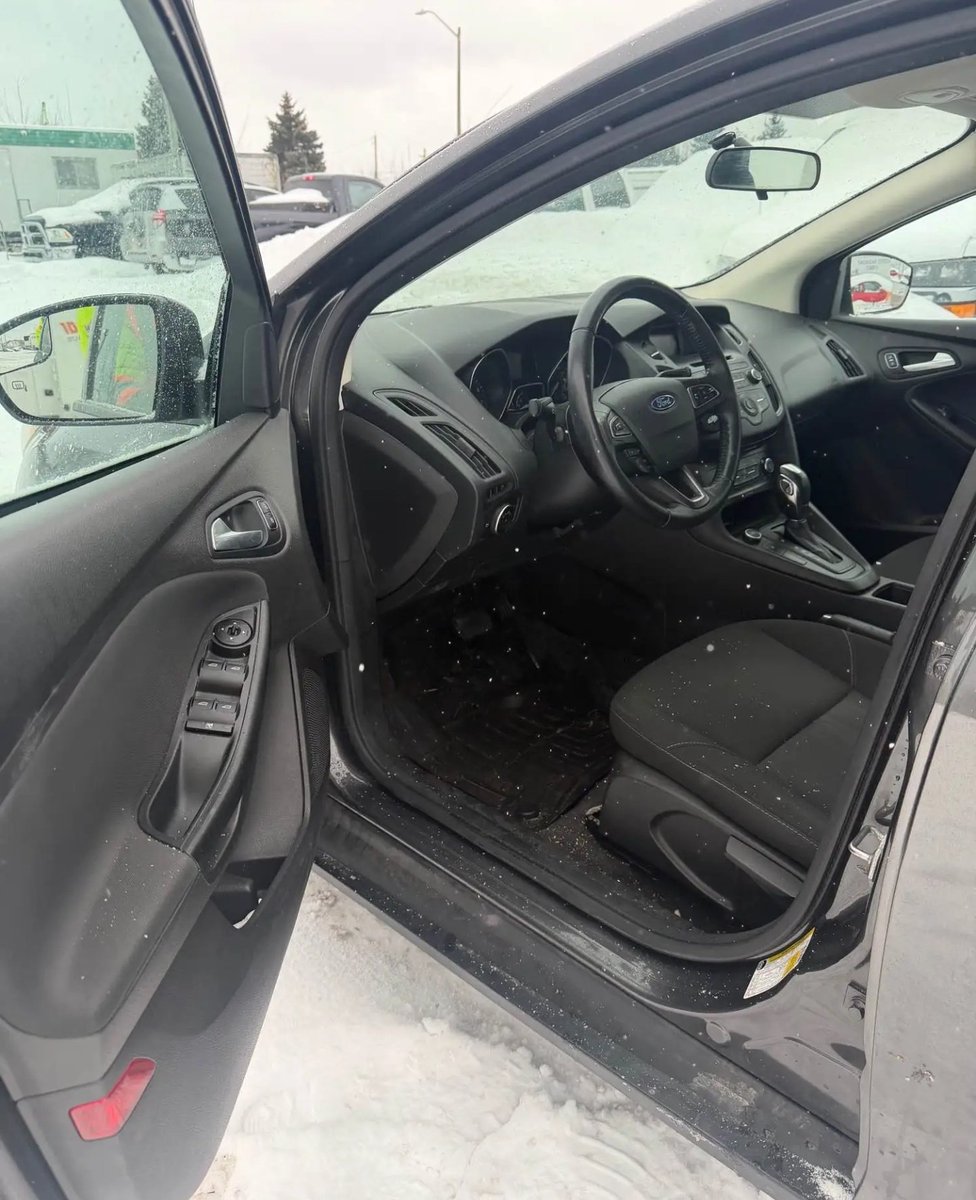 Millishield 01 🚘🌽🫑🌶🦈🐔 tweet media