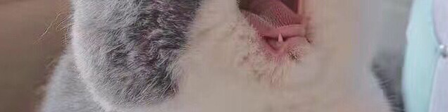 𝟟𝕚𝕪ℝ𝕖𝕒𝕝 tweet media