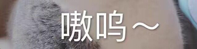 𝟟𝕚𝕪ℝ𝕖𝕒𝕝 tweet media