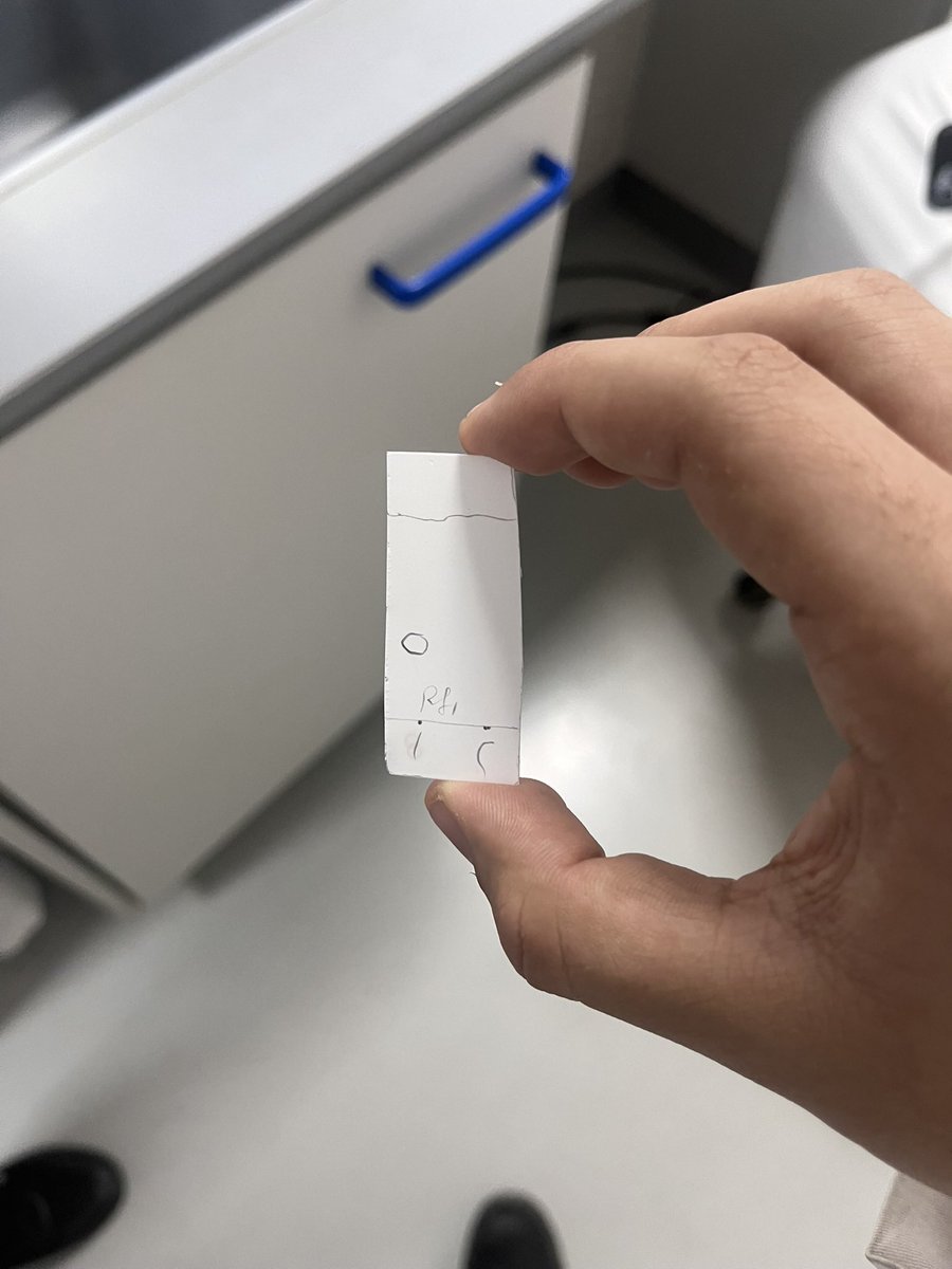 Mohammed tweet media