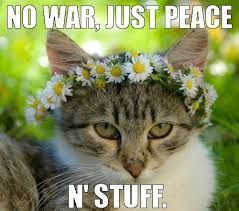 I'm purring for stability in the world, for our humanity to prevail  For peace and friendship between all races, nations and religions.

Purr purr purr #Purrs4Peace