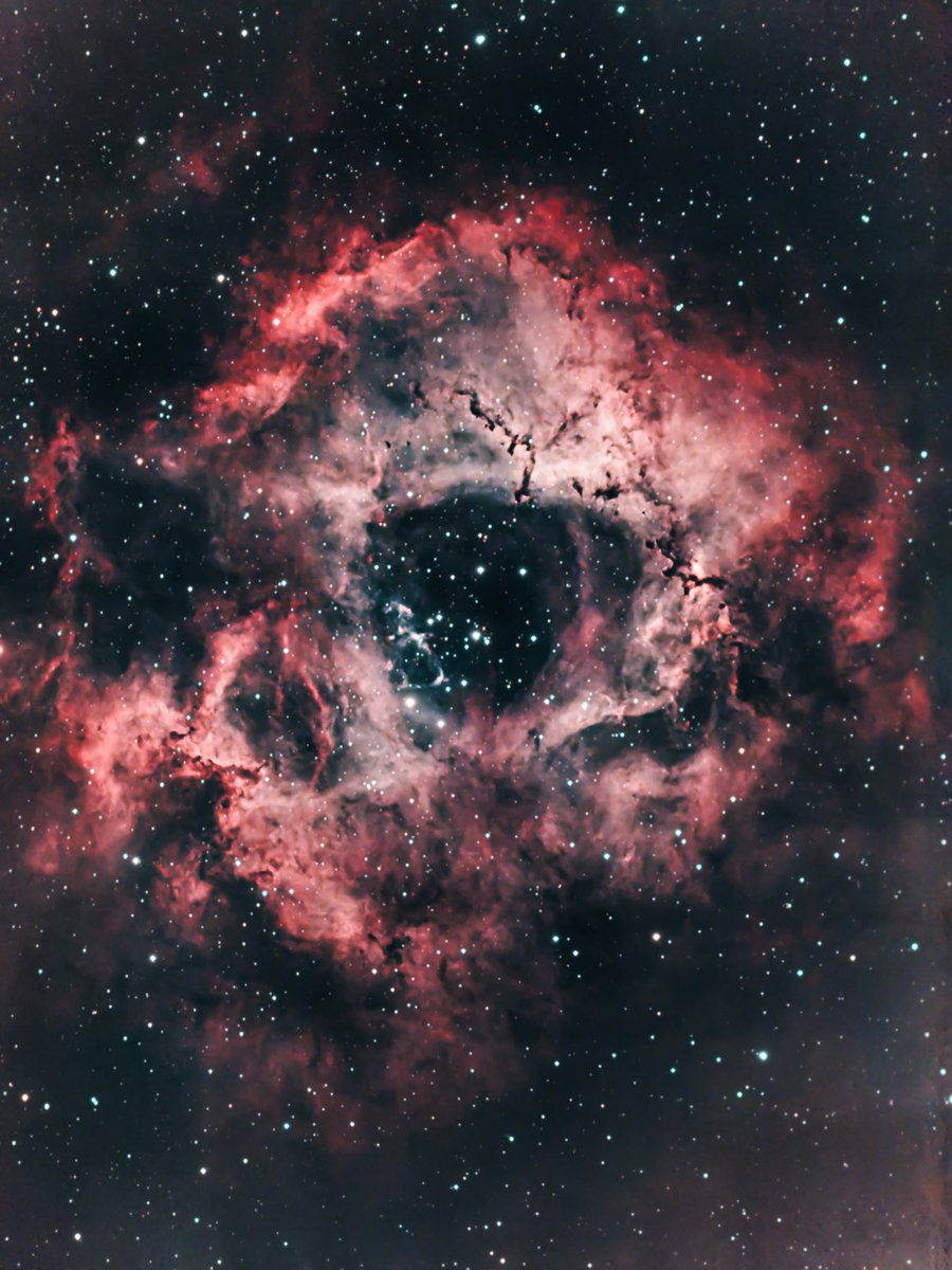 Deep Space Shots tweet media