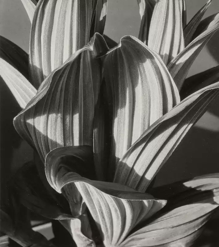 Aesthetica Magazine tweet media