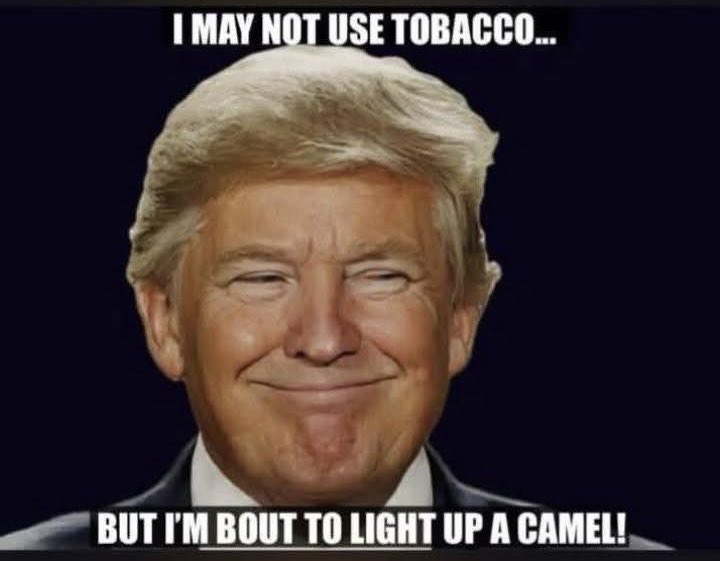 OathKeeper tweet media