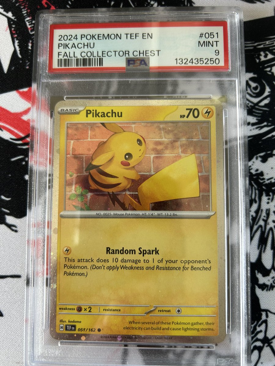 🎆 Giveaway Time 🎆 

Graded Pikachu giveaway!! 

📷 Follow Me
🐦 RT this post
📷 Tag 3 people 

This is a US only giveaways because I don’t want to deal with customs winner will be picked on 3/27 good luck everyone