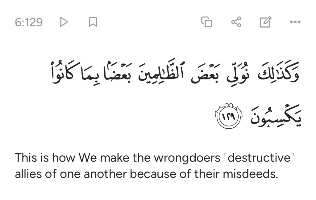 Adnan Rashid tweet media