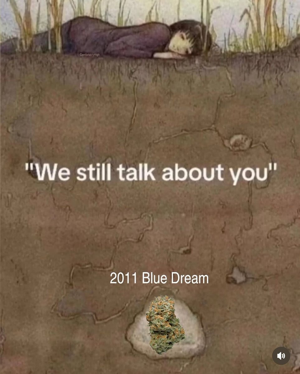 things that i smoke weed to tweet media