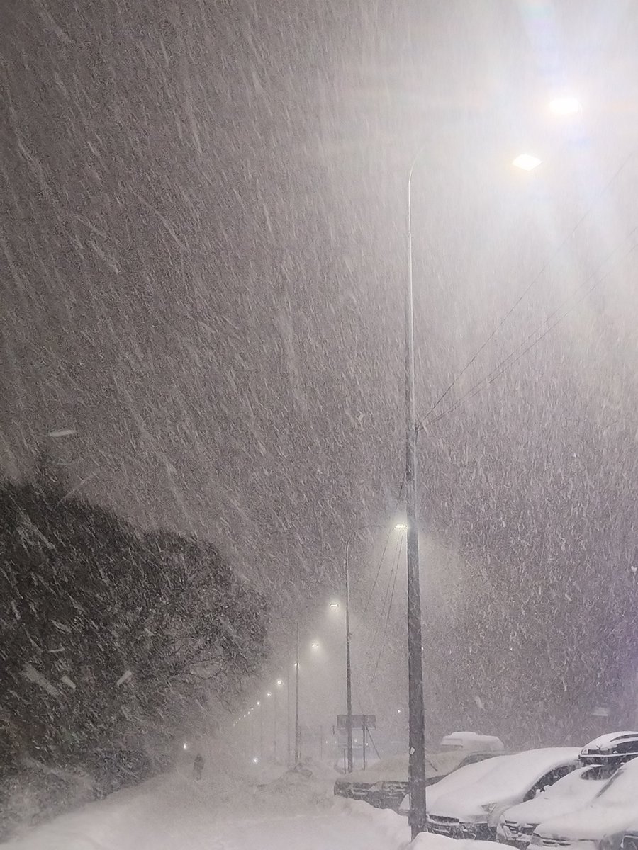 yellowbluebottom (@yellowbluebott2) on Twitter photo 