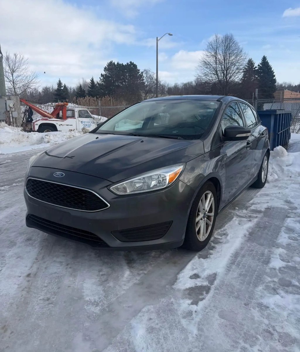 Millishield 01 🚘🌽🫑🌶🦈🐔 tweet media