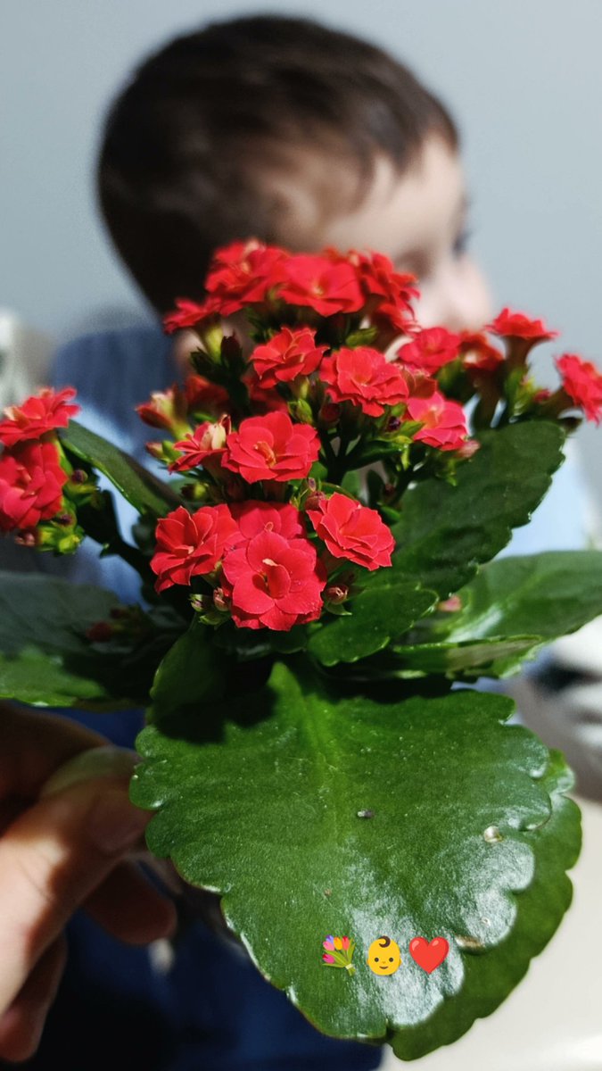 Manzaramın güzelliği ❤👶💐