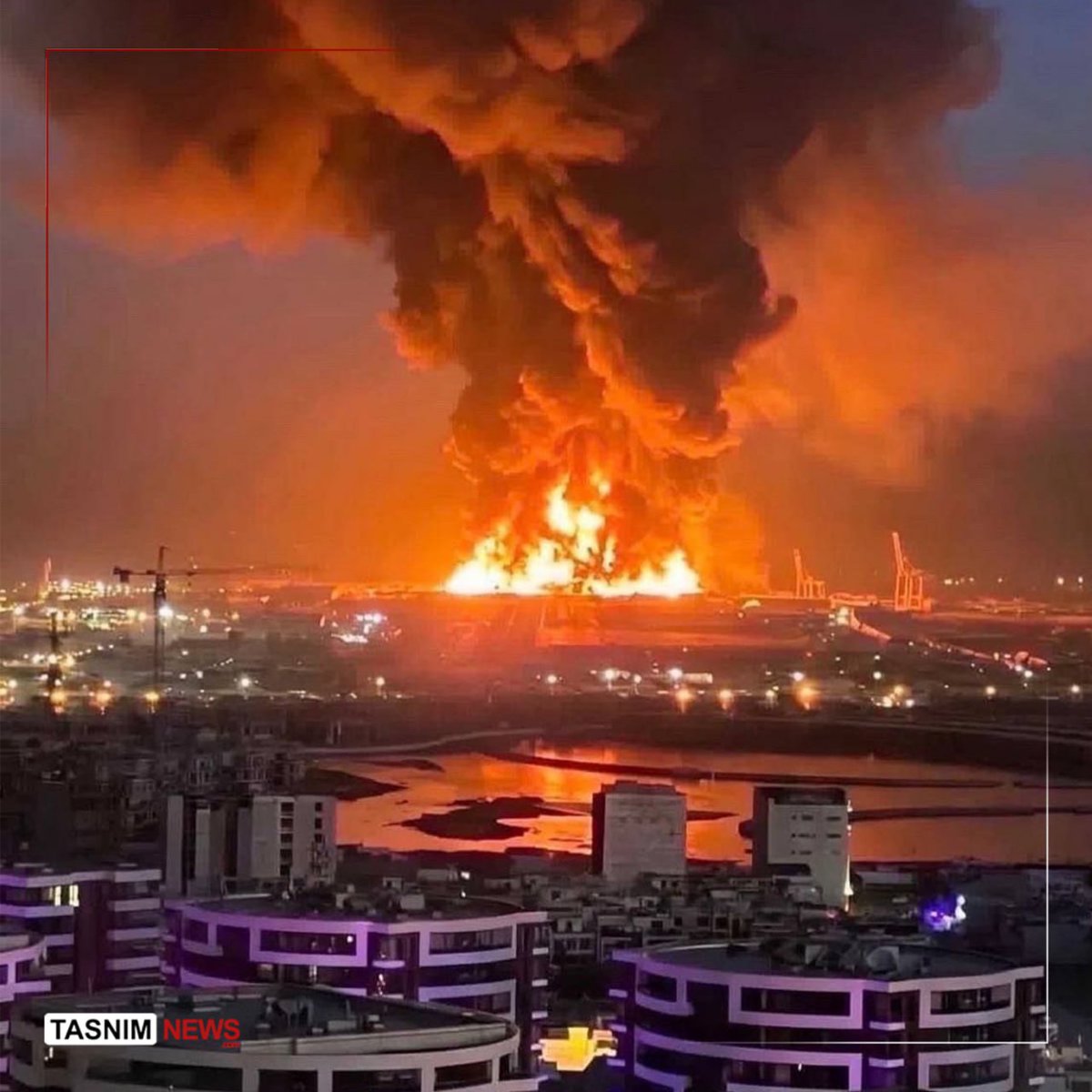 Маrina Wolf tweet media