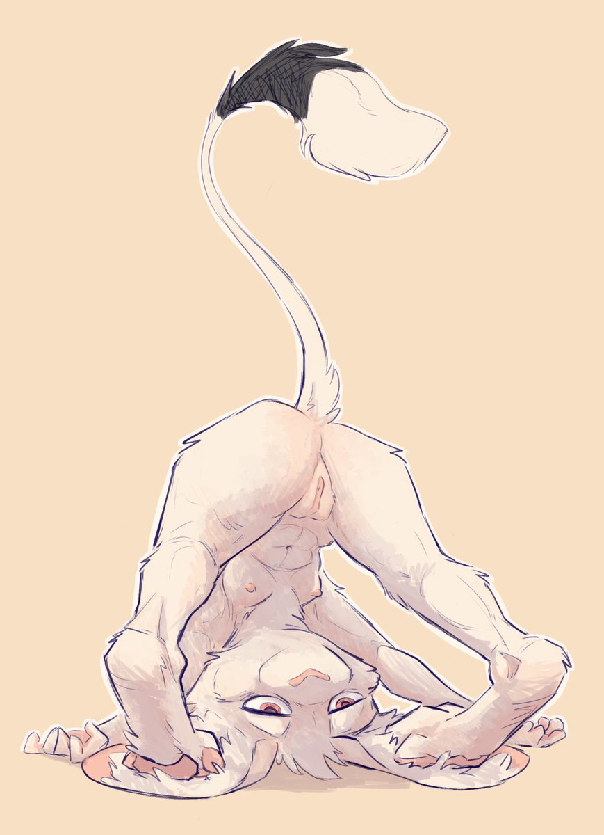 Animancer tweet media