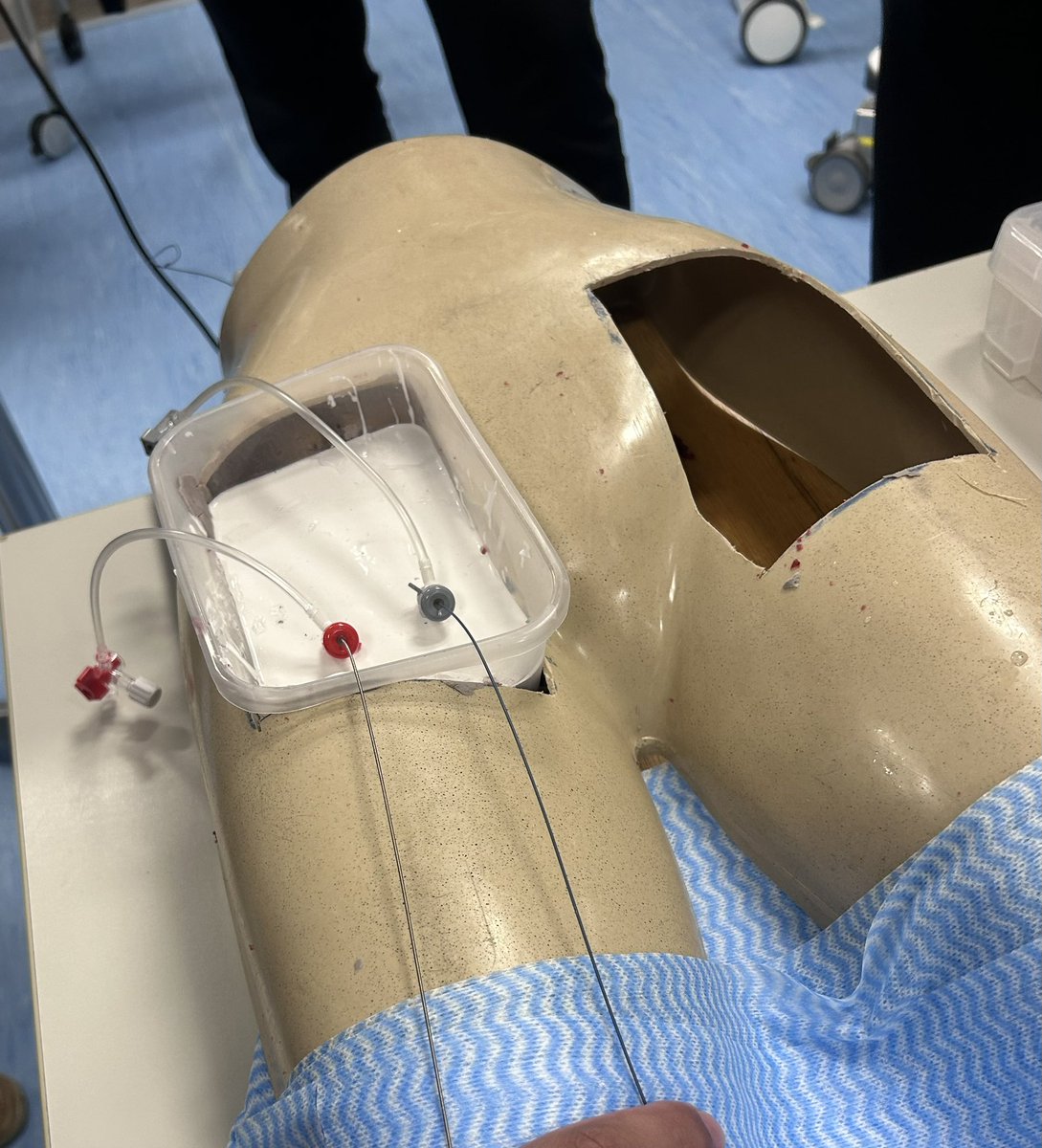 Rafael Melo tweet media