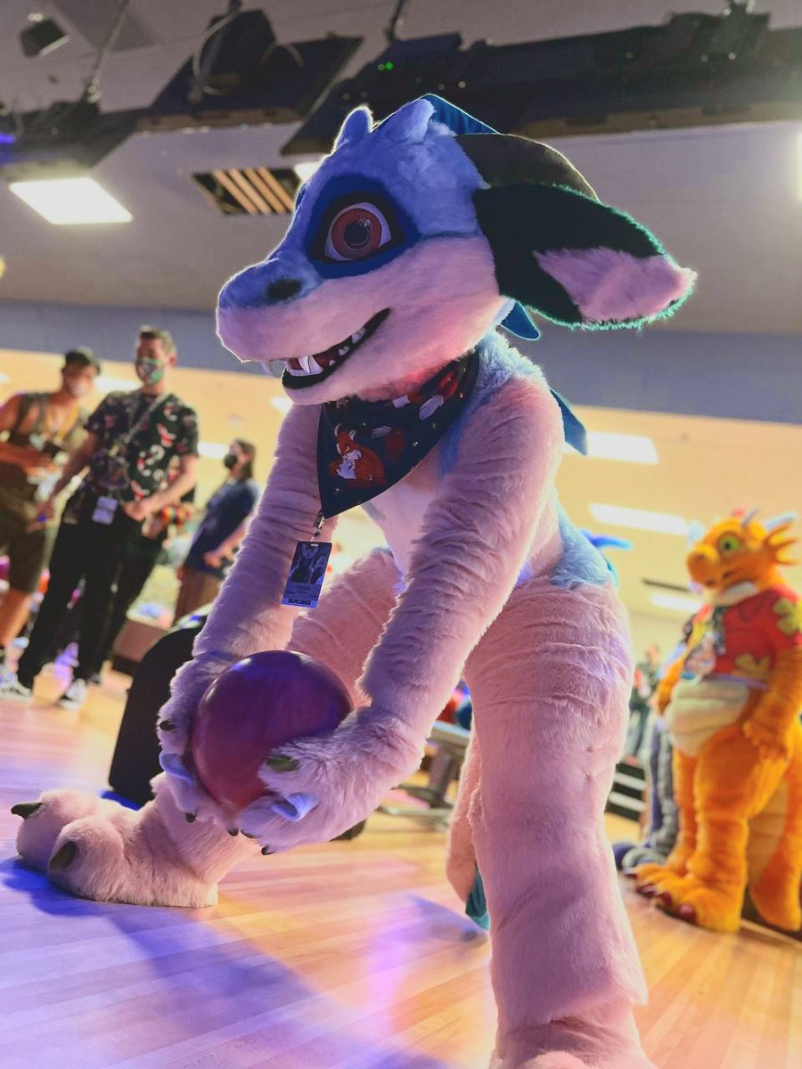 Kawa Seadragon tweet media