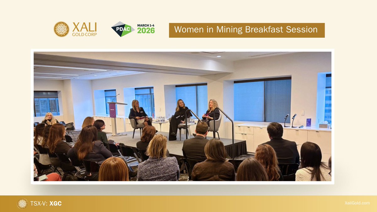 Xali Gold Corp (TSXV: $XGC.V, OTCQB: $CGDXF) tweet media