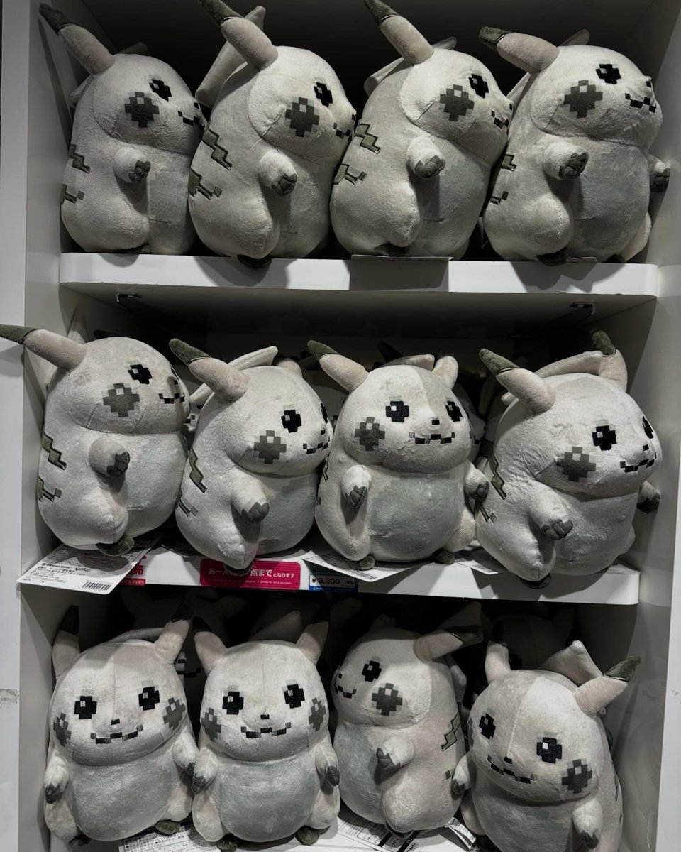 Modern Notoriety tweet media