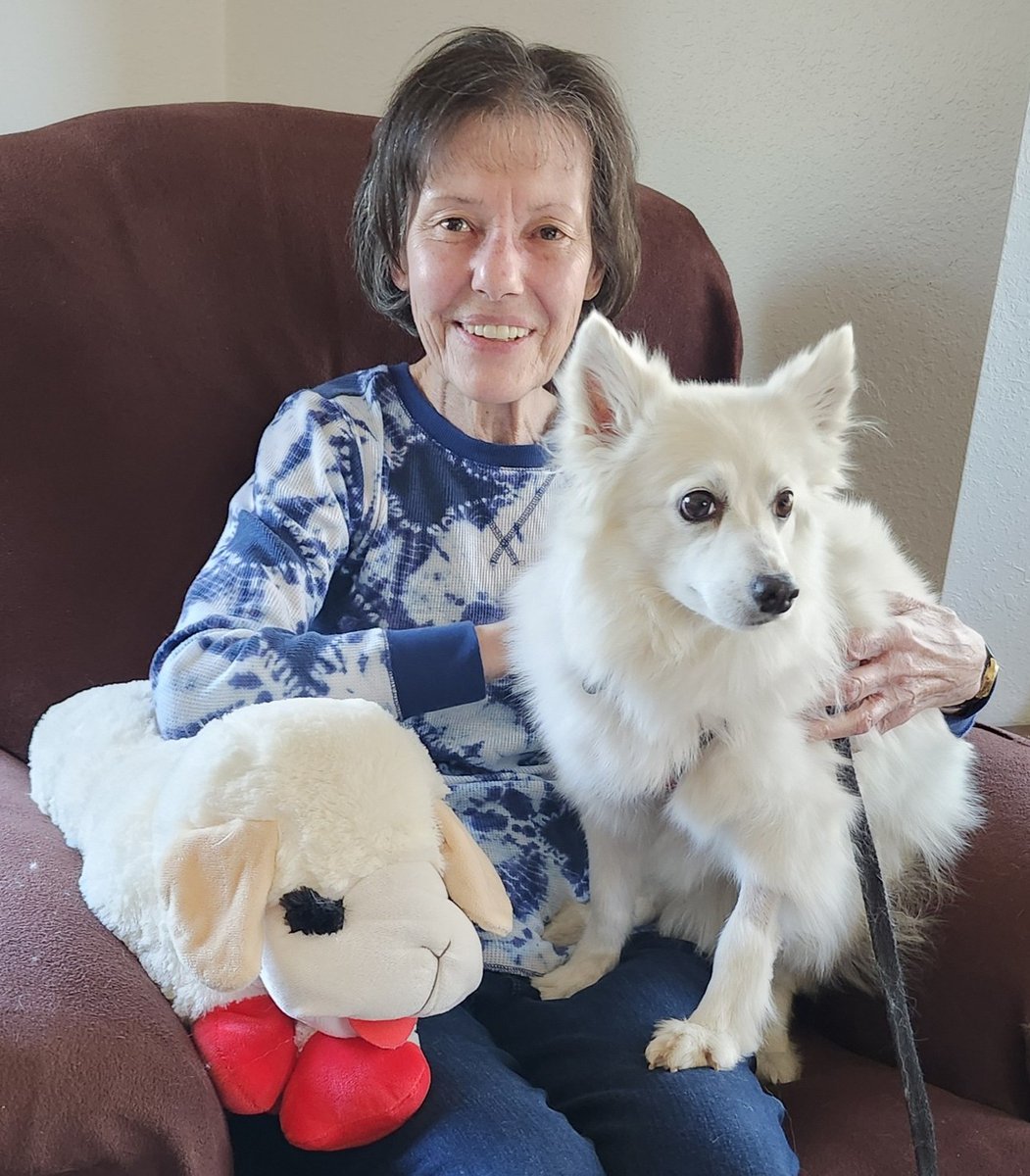 eskiedog1's tweet photo. Sweet Lizzie Adopted! Lizzie now has Sandy and Jim as her new family. Our thanks to foster mom Mary Lou for patiently working with Lizzie in recent months. She had a rough start, but those days are long behind her. This little beauty is already well loved &amp; cared for! 🥰 #AERSTL https://t.co/Zu4dL8oSAZ