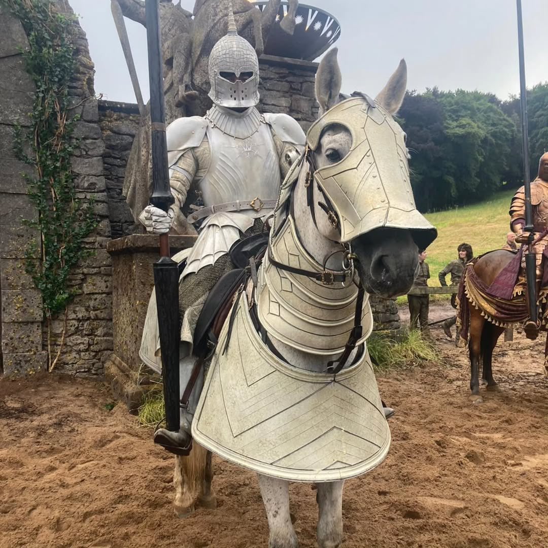 stunt performer huw whitney portrayed both a lannister knight and served as the double for ser donnel of duskendale in a knight of the seven kingdoms!